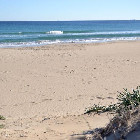 PASTEL DE MANZANA Y SIDRA