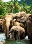 Sri Lanka, recorriendo la antigua Ceylán