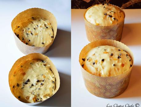 Panettone