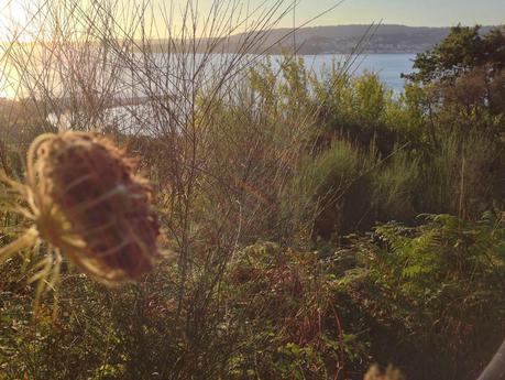 Seixo. Playa de Aguete. Parque da Brea