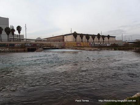 El eufemismo de la carga orgánica.