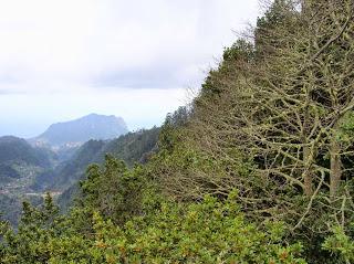 Mirador, Miradouro das Balçoes, Madeira, Portugal, La vuelta al mundo de Asun y Ricardo, round the world, mundoporlibre.com