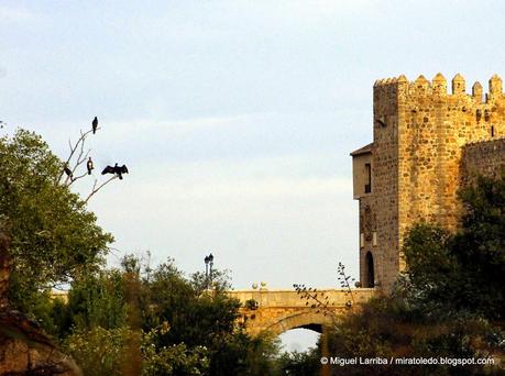 La ciudad más interesante