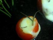 Aperitivo: Cherrys, Mozzarella Romero