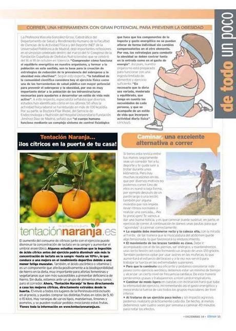 Naranjas, Mandarinas, venta directa de huerto, Natural, Ecologico, Valencia, Naranjas Valencianas, Sabor, Frescura,