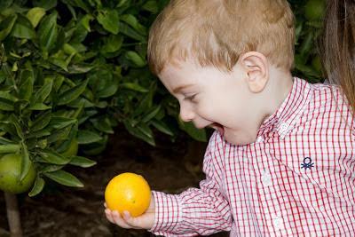 Vitamina C con Tentación naranja.es: Natural, Ecologico. Naranjas de Valencia