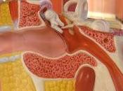 efecto placebo música