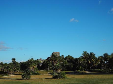 Discovering Cobá & Tulum OLYMPUS DIGITAL CAMERA