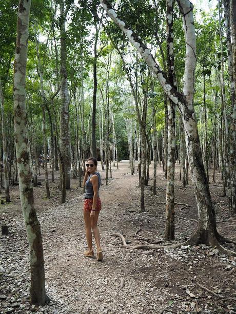 Discovering Cobá & Tulum OLYMPUS DIGITAL CAMERA