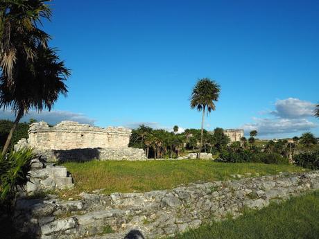 Discovering Cobá & Tulum OLYMPUS DIGITAL CAMERA