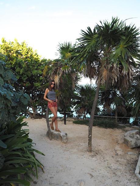 Discovering Cobá & Tulum OLYMPUS DIGITAL CAMERA