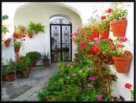 Martes Parlanchín #27