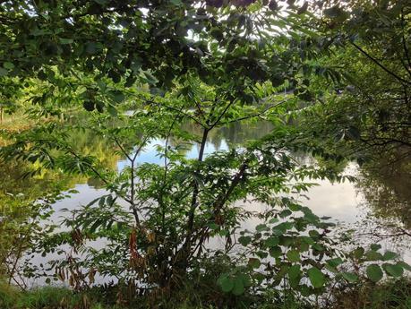 Mirador de Cotorredondo y Lago de Castiñeiras Mirador de Cotorredondo y Lago de Castiñeiras