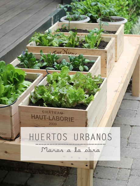 #Cuidatuhuerto : la pasión que nos enamora