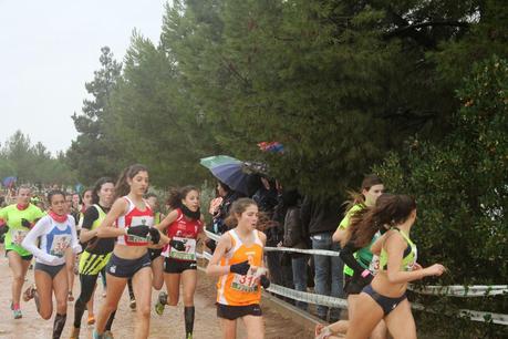 XXXIII CROSS  NACIONAL  CASTELLANO-MANCHEGO