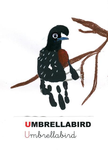 UMBRELLABIRD