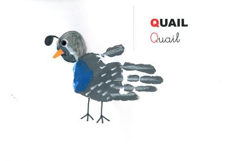 QUAIL