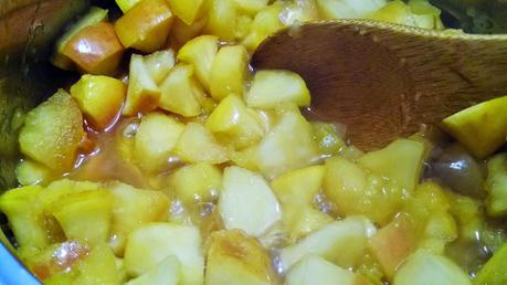 Pastila o dulce de manzana Pastila o dulce de manzana