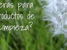 Hacer productos limpieza higiene casa: entretenimiento forma consecuente