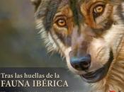 Víctor Hernández: Tras Huellas Fauna Ibérica