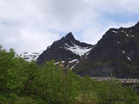 Islas Lofoten: un paraíso que todavía no sé si fue un sueño