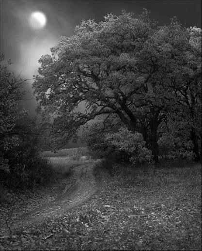 NO SÉ CÓMO PASÓ...