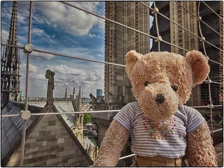 VISITA A PARIS. NOTRE DAME