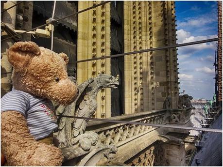 VISITA A PARIS. NOTRE DAME