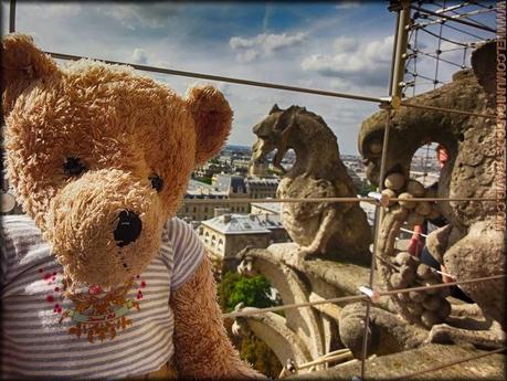 VISITA A PARIS. NOTRE DAME