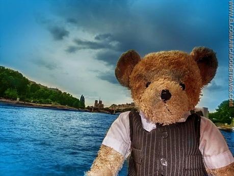 VISITA A PARÍS. EXCURSIÓN EN BATEAU MOUCHE