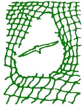 Discapacidad Intelectual