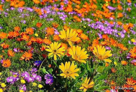 Un lugar en el mundo