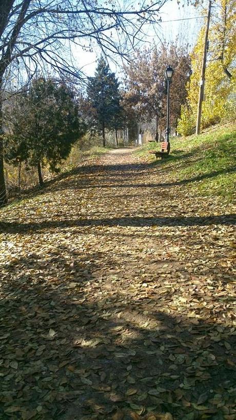 La búsqueda de la esperanza