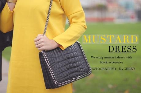MUSTARD DRESS IMG_5692