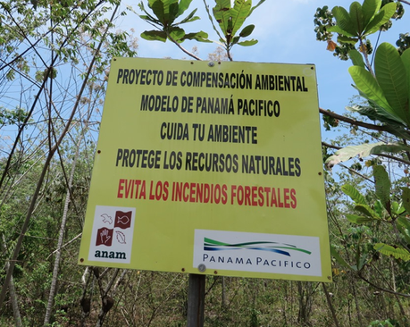 Proyecto de Compensación Ambiental Modelo de Panamá Pacífico