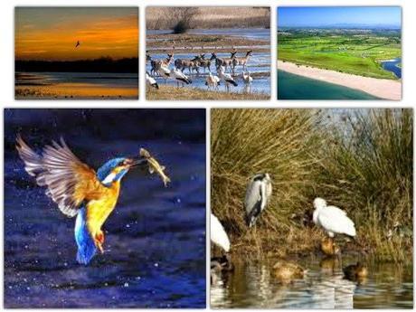 PARQUE NATURAL DELS AIGUAMOLLS DE L'EMPORDÀ