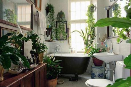 Plantas para decorar tu baño