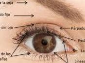 Maquillajes para Navidades