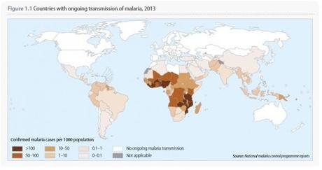 Confirmed malaria cases per 1000 population