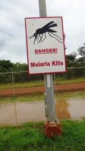 Póster malaria kills