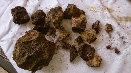 Diorama con Acers Campestres : 3- los materiales . Diorama con Acers Campestres : 3- los materiales .