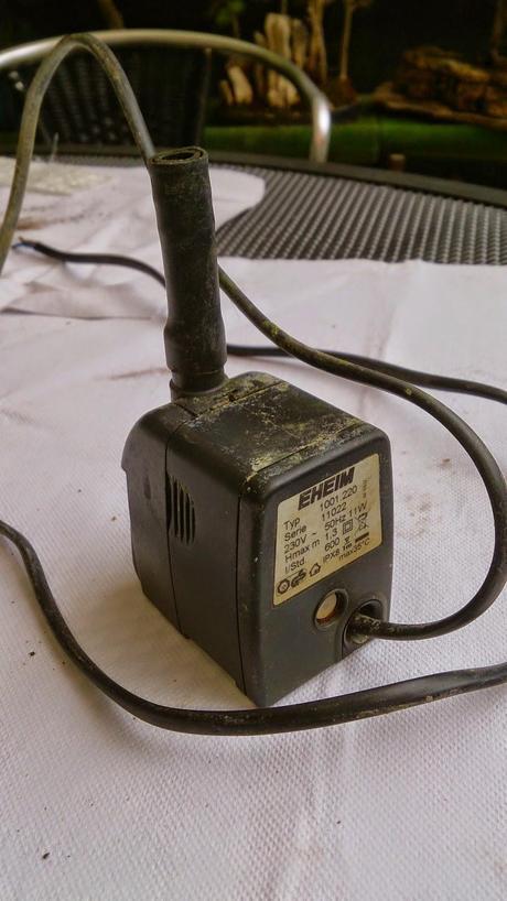 Diorama con Acers Campestres : 3- los materiales . Diorama con Acers Campestres : 3- los materiales .