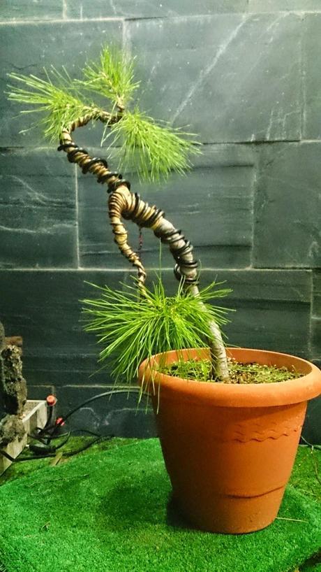 Ayudando a los amigos