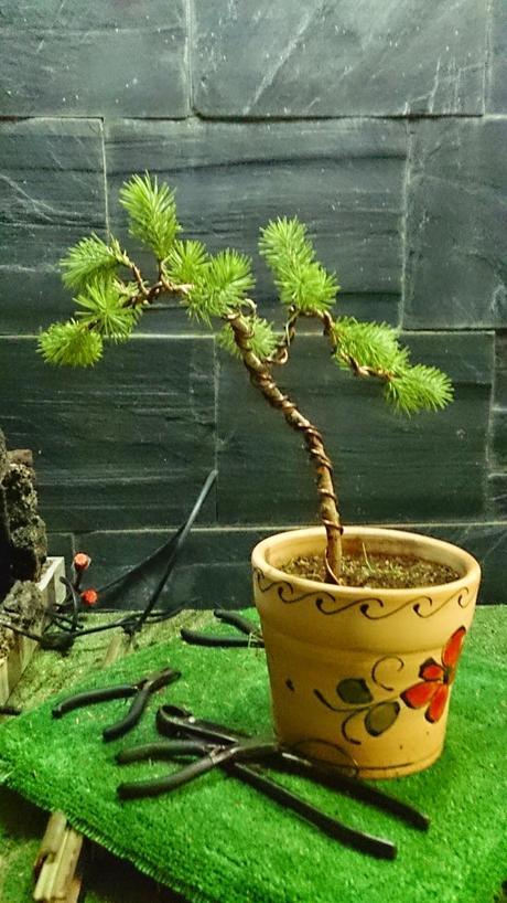 Ayudando a los amigos