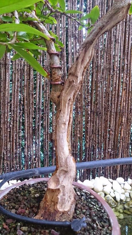 Trabajos de mantenimiento : toca jins y shares .