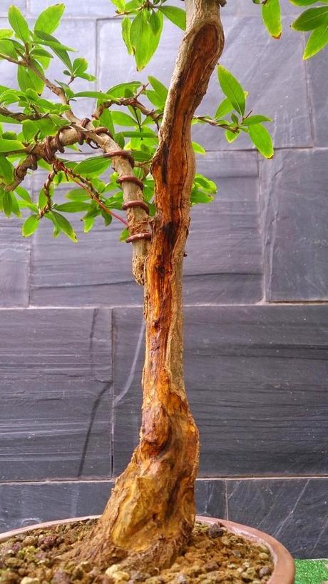 Trabajos de mantenimiento : toca jins y shares .