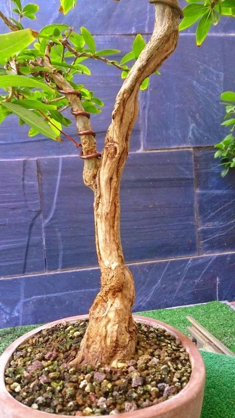 Trabajos de mantenimiento : toca jins y shares .