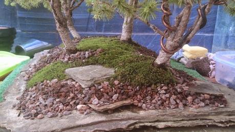 Trabajos de mantenimiento : limpiezas superficiales ,