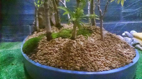 Trabajos de mantenimiento : limpiezas superficiales ,