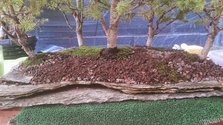 Trabajos de mantenimiento : limpiezas superficiales ,